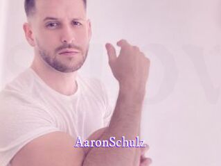 AaronSchulz