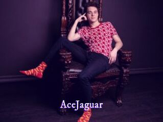 AceJaguar