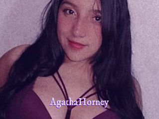 AgathaHorney