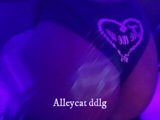 Alleycat_ddlg