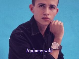 Anthony_wild