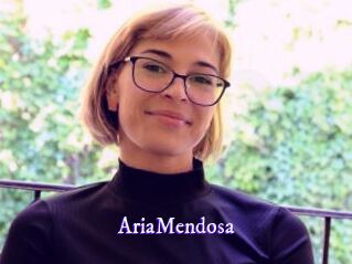 AriaMendosa