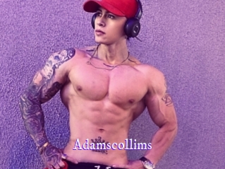 Adamscollims