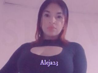 Aleja23