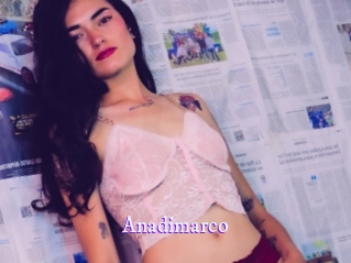 anadimarco Super Webcam