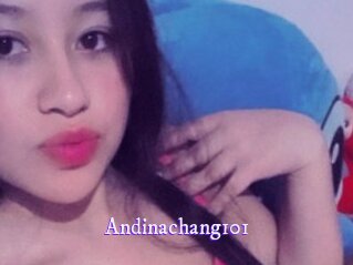 Andinachang101