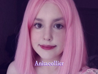 Anitacollier