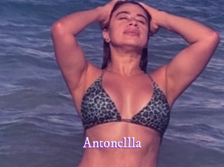 Antonellla