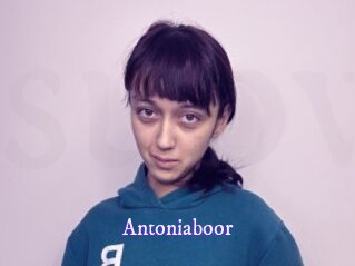 Antoniaboor