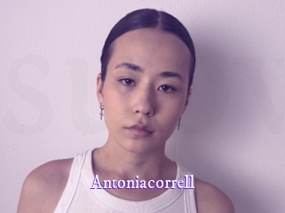 Antoniacorrell