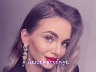 Antoniagoodwyn