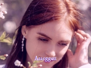 Araeggett