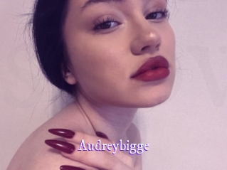 Audreybigge