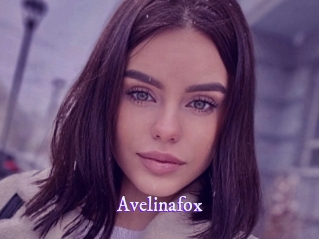 Avelinafox