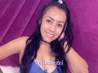 Aylinmezzi