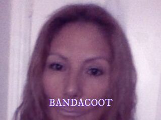 BANDACOOT