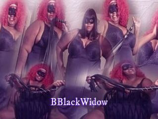 BBlackWidow