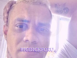 BIGDICKFORU4