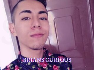 BRIANS_CURIOUS