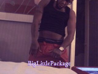 BigLittlePackage