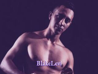 BlakeLevi Super Webcam