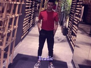 Bradie Super Webcam