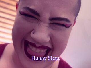 Bunny_Slcut Super Webcam