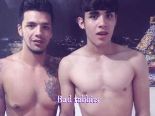 Bad_rabbits