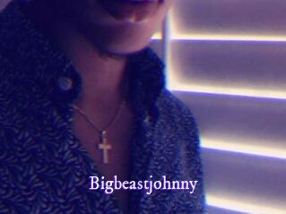 Bigbeastjohnny