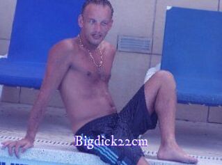 Bigdick22cm
