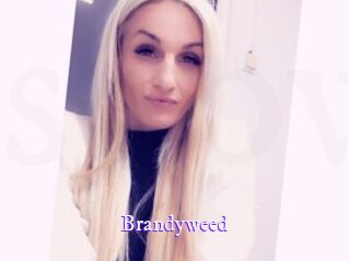 Brandyweed