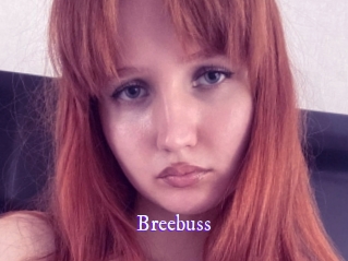 Breebuss