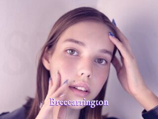 breecarrington Super Webcam