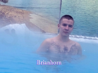 Brianhorn