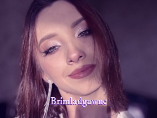 brimladgawne Super Webcam