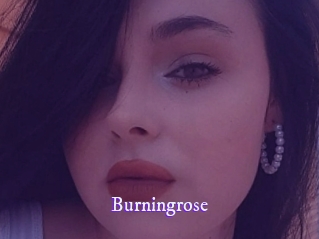 Burningrose