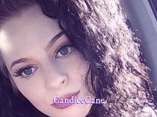 Candice_Cane