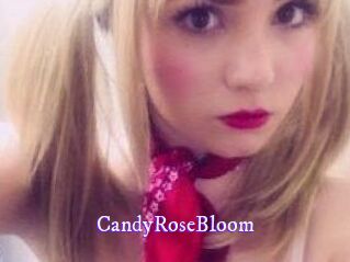 CandyRoseBloom