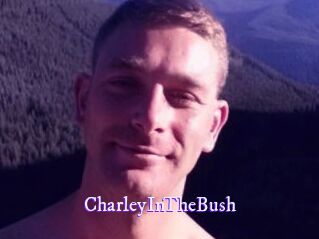 CharleyInTheBush