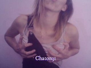 Chaton31