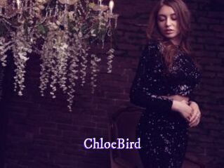 ChloeBird
