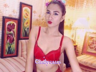 Cindycates