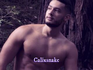 Calixsnake