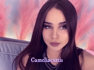 Cameliacurtis