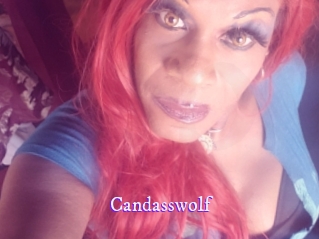 Candasswolf