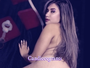 candiecegrants Super Webcam