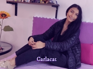 Carlacat