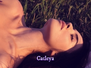 Catleya