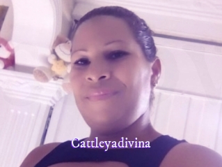 Cattleyadivina