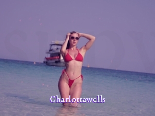 charlottawells Super Webcam